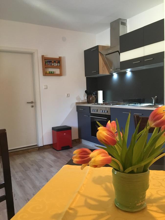 Ferienwohnung Richtermuehle Saupsdorf Екстер'єр фото